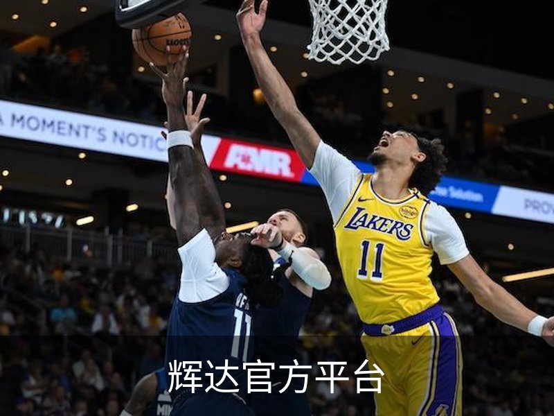 辉达官方平台品牌故事